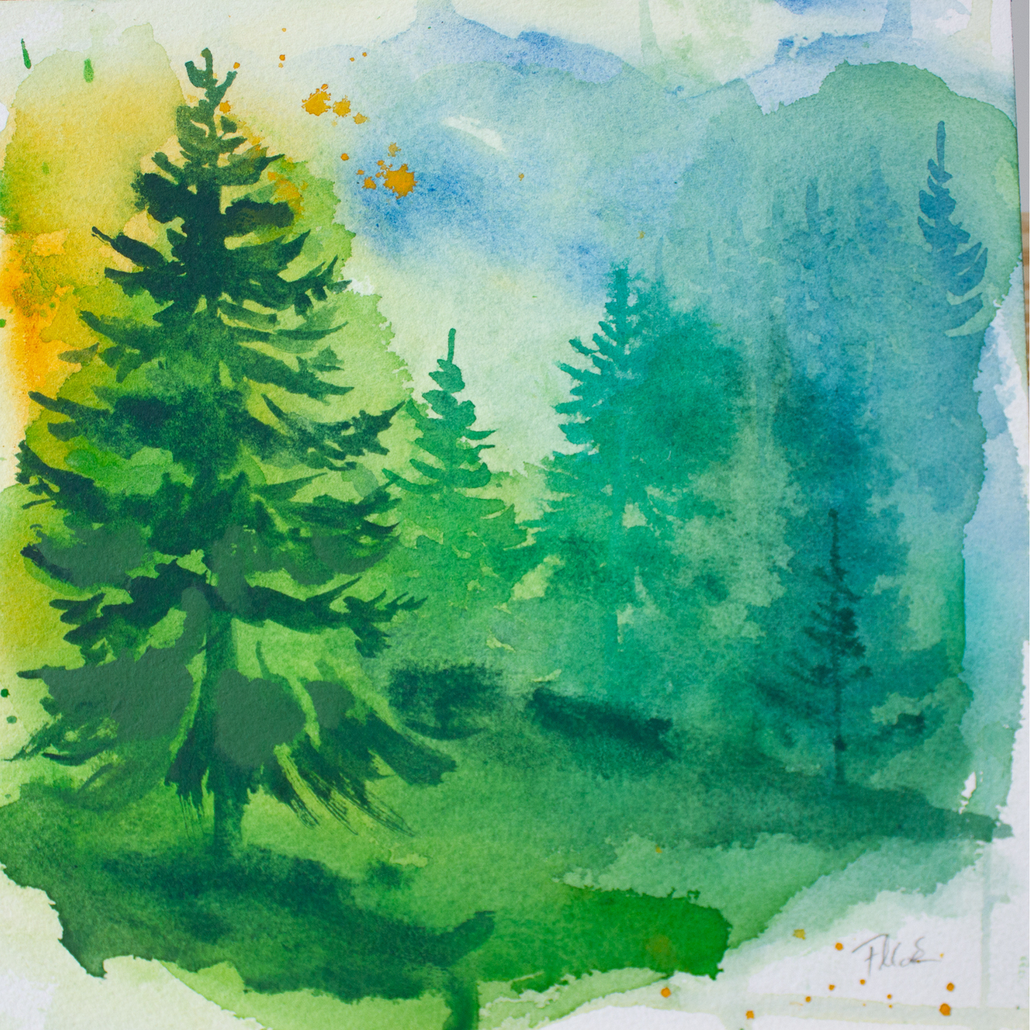 young forest - original image