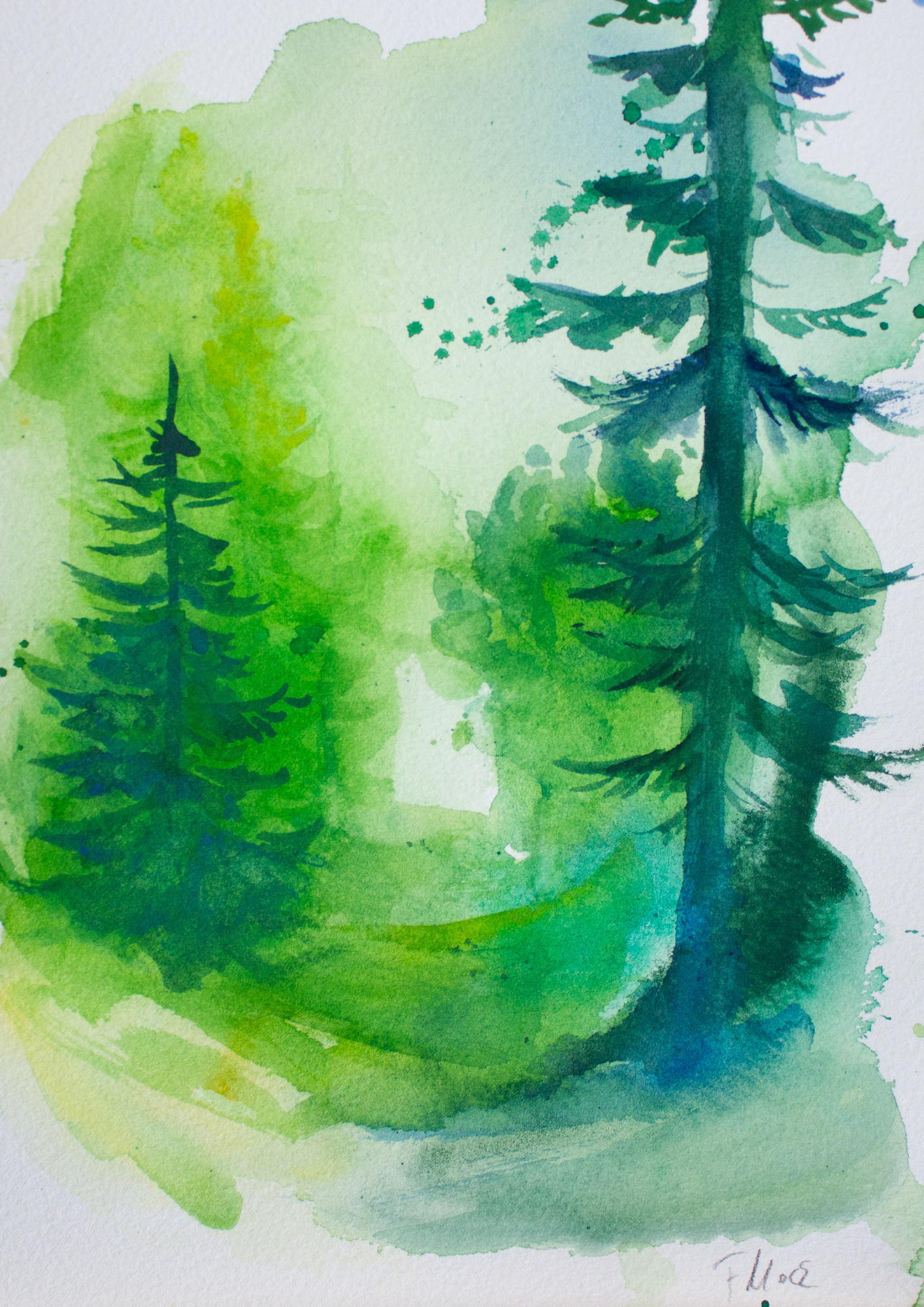 early forest - original image