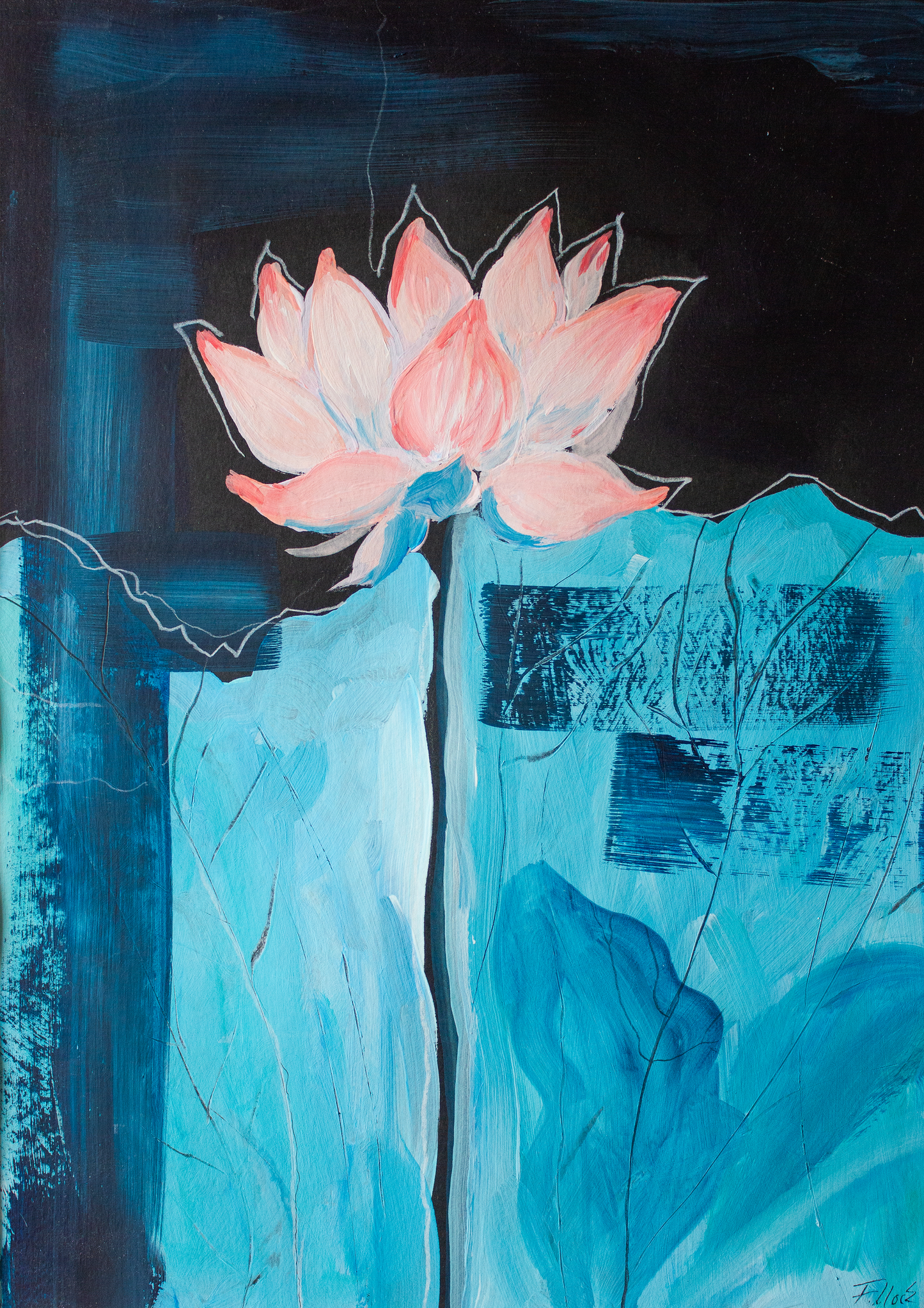 Originalbild- waterlily